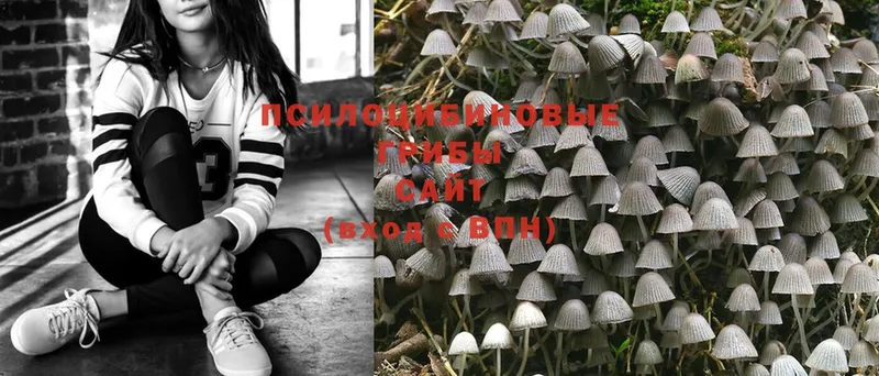 Псилоцибиновые грибы Magic Shrooms  Задонск 